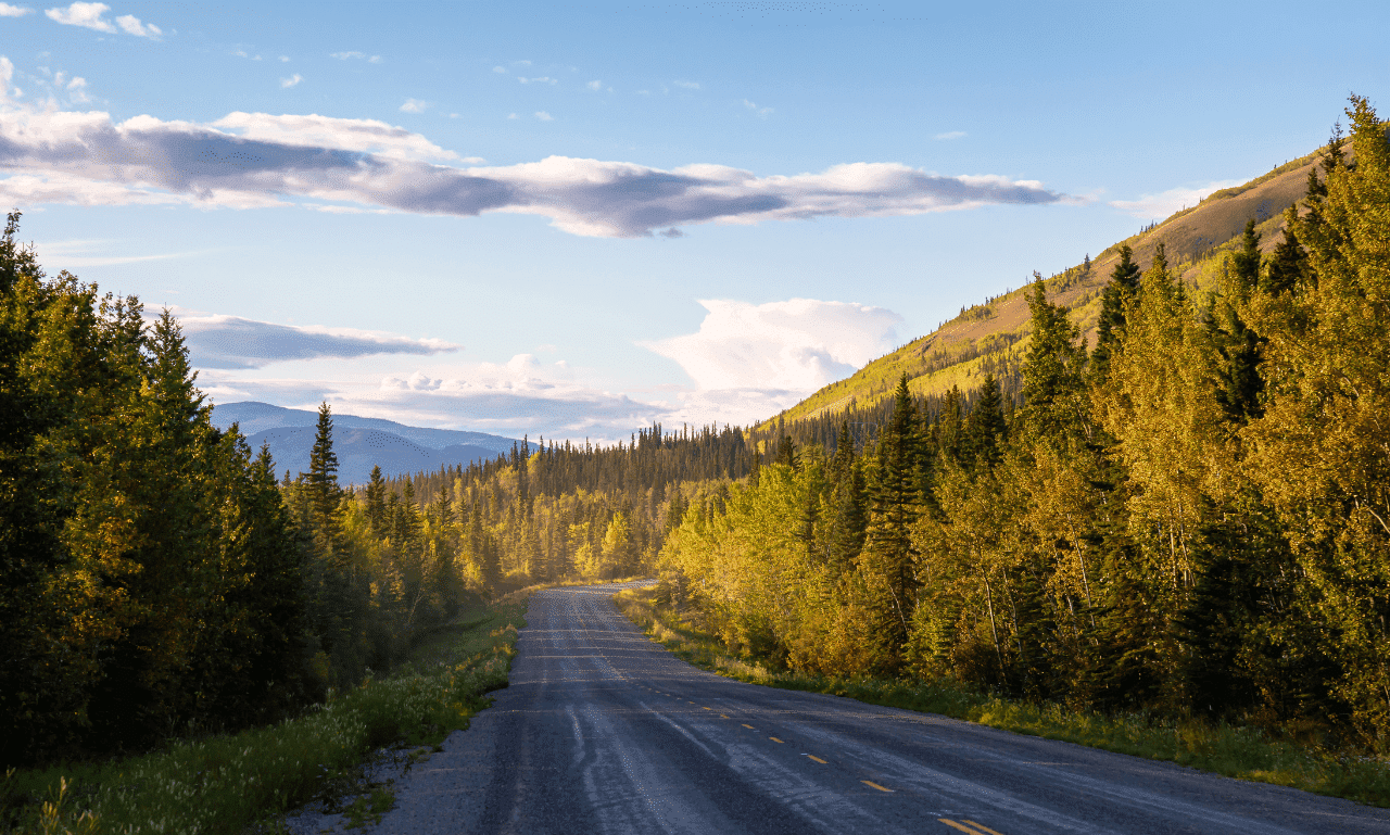 Scenic road surrounded by lush green forests under a clear blue sky, perfect for travel adventures and exploration.